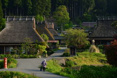 美しき里山。