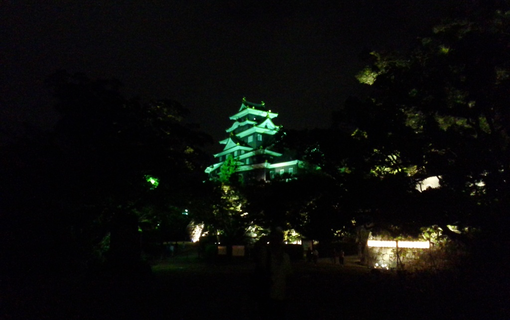 夜の烏。