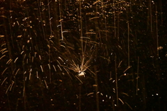 雨に唄えば。