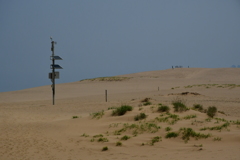 砂丘で。