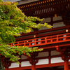 大師からの誘い。