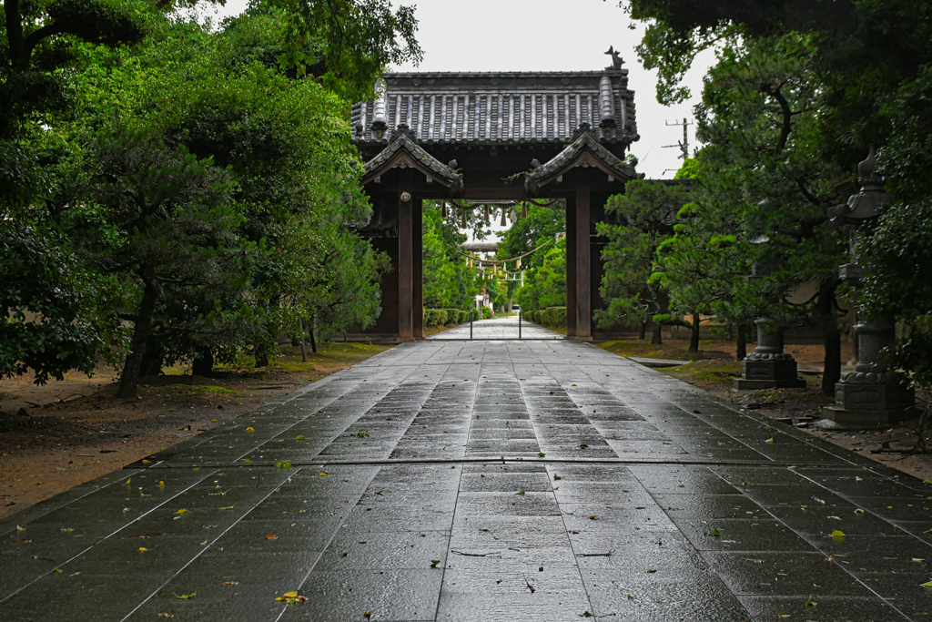 参道。
