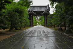 参道。