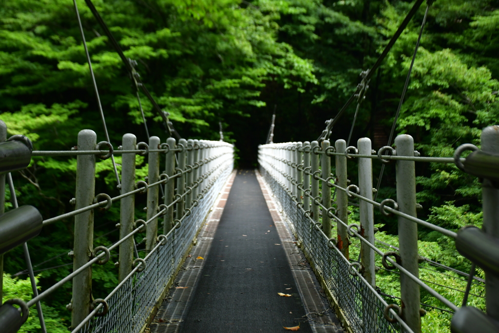 道、其の先に。