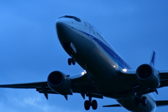 怪鳥。