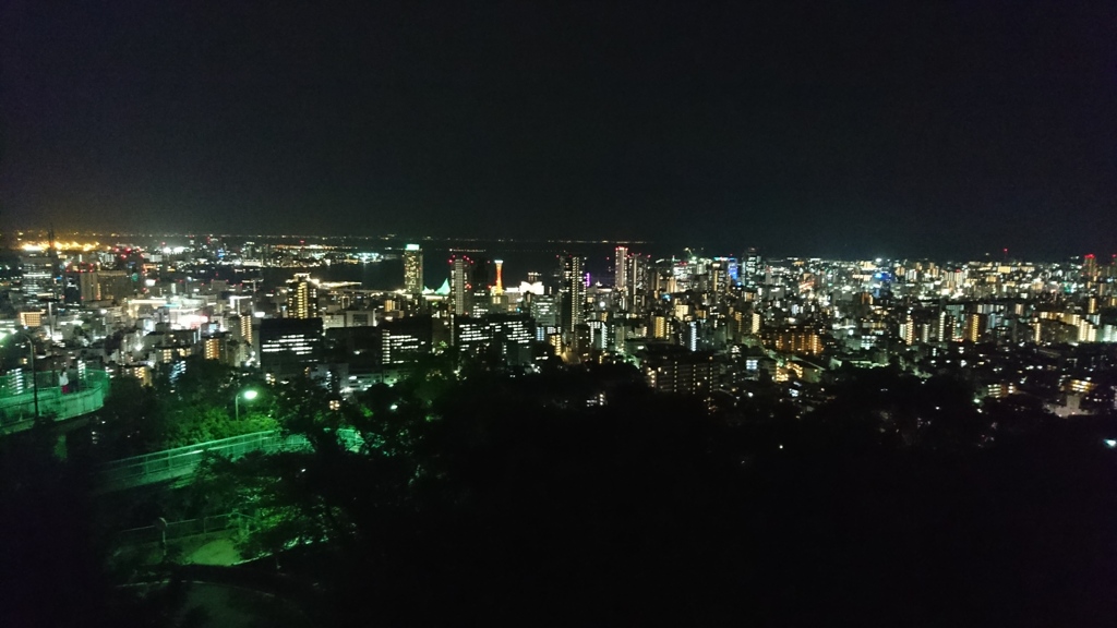 今日も此処で…。