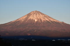 緋に染まり行く…。