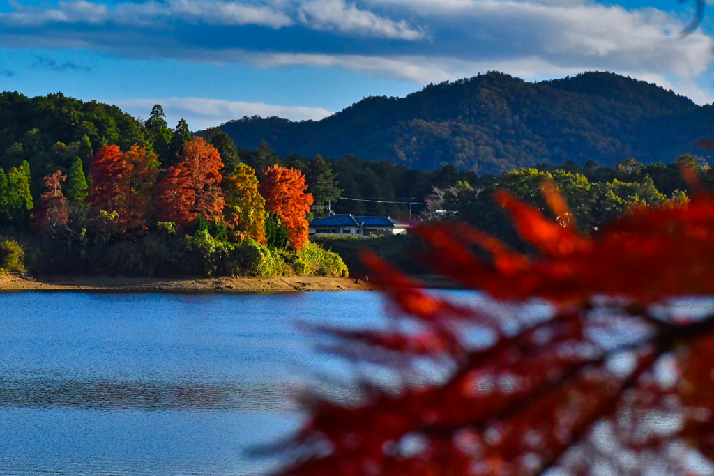 千丈寺湖の秋。
