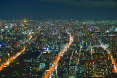 大阪俯瞰図。