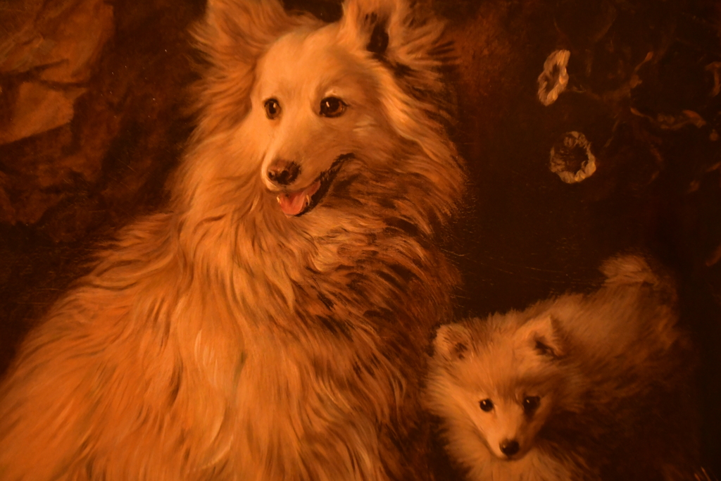 或る犬。