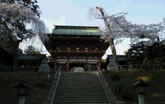鹽竈神社の桜。