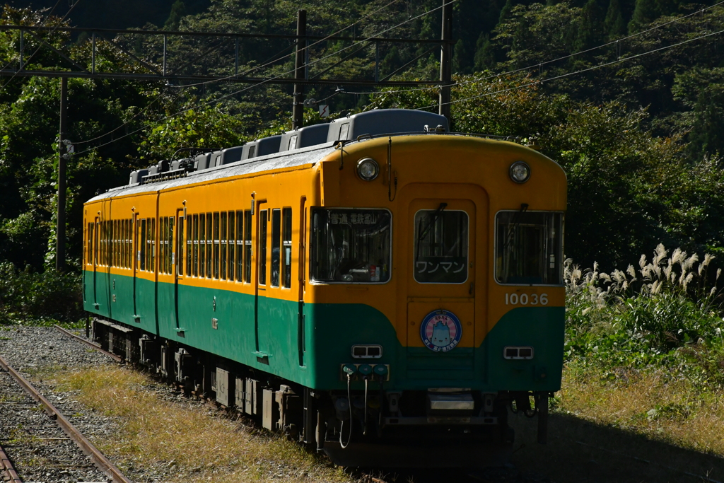オレのかぼちゃ。