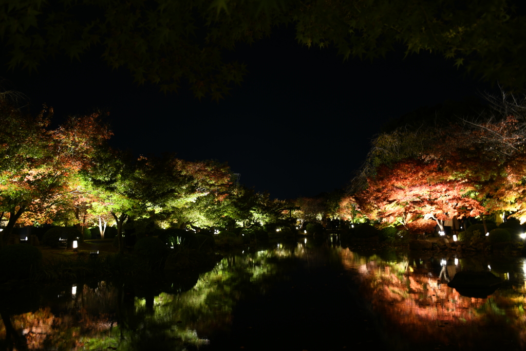 東寺の夜。