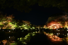 東寺の夜。