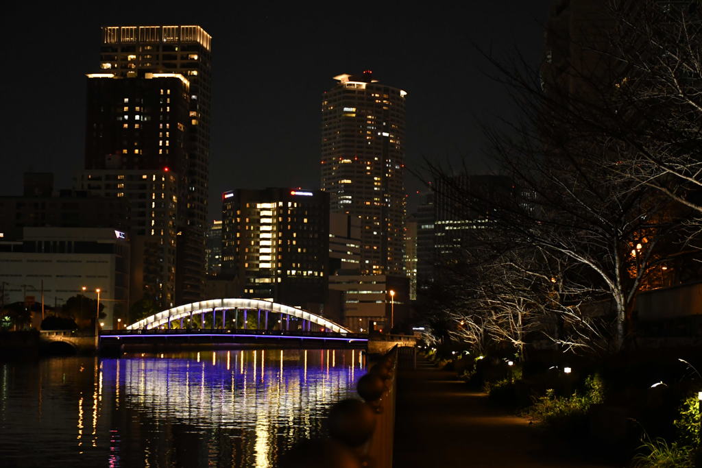 水辺の光景。