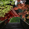 天台宗総本山。