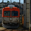 追いかけて。