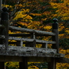 其々に秋。