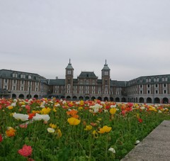 お花の公園。