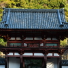 女人高野。