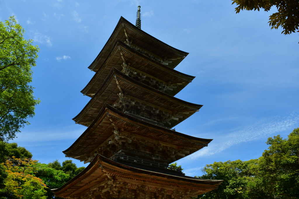 或る本山。