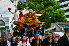 泉州に秋を告げる。