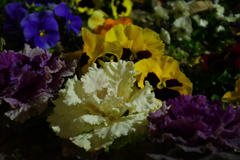 夜の花壇。