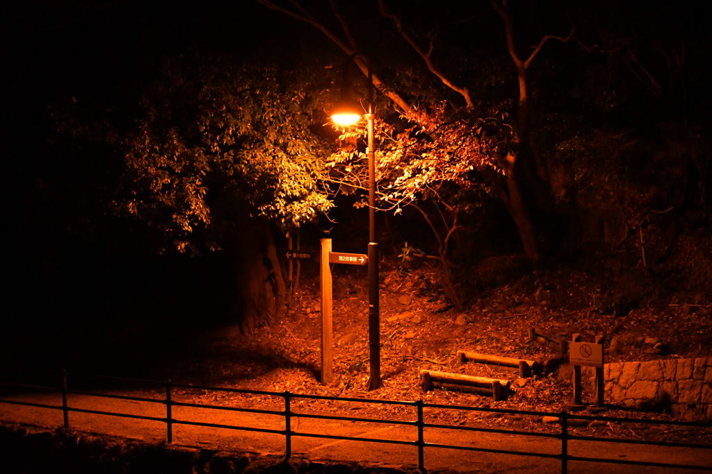 夜道。