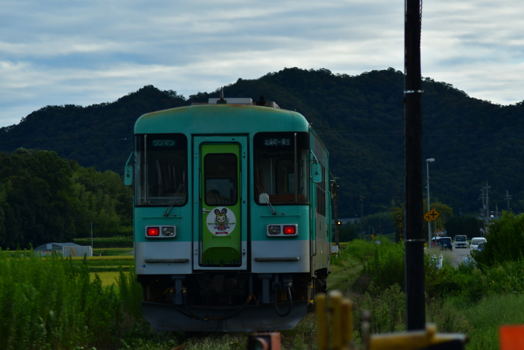 去りゆく背中。