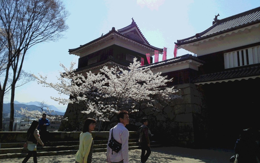 今年も行きたかったなぁ…。
