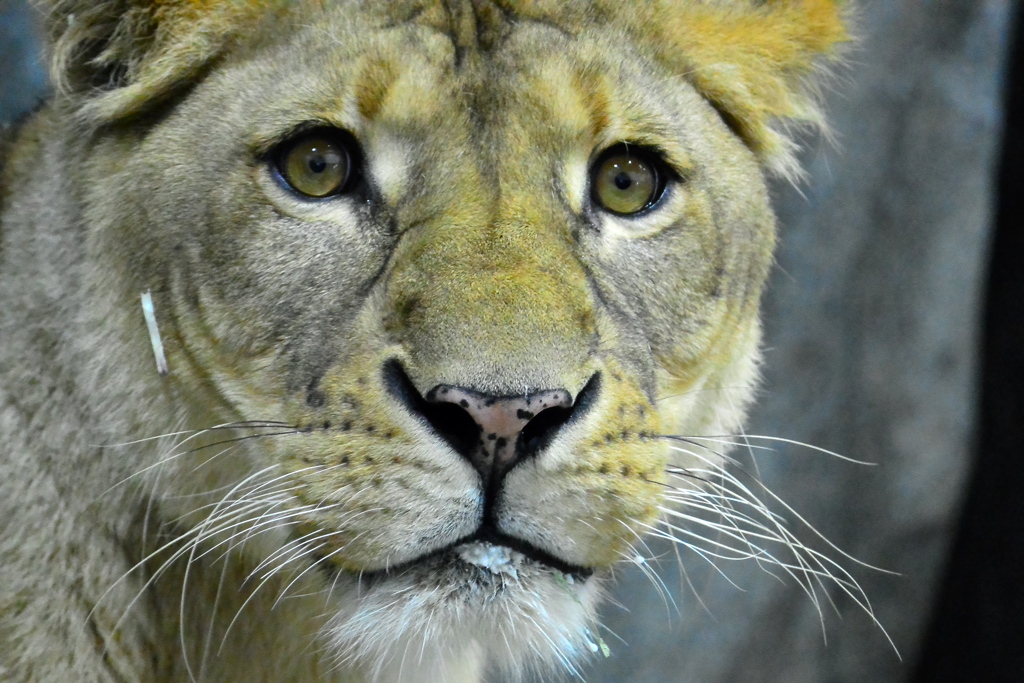 でもすぐ普段の顔に