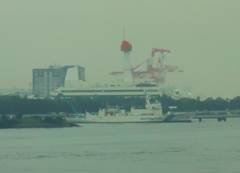 拓洋