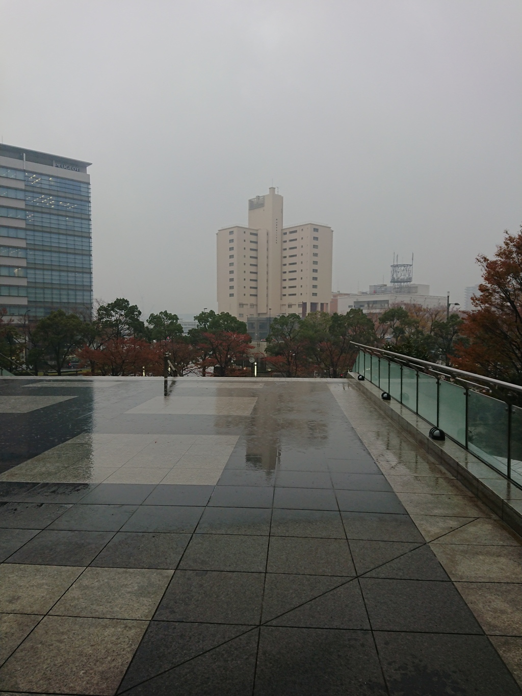 雨