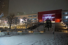 雪の日