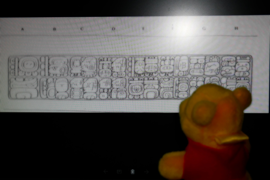 黄熊博士のマヤ講座２