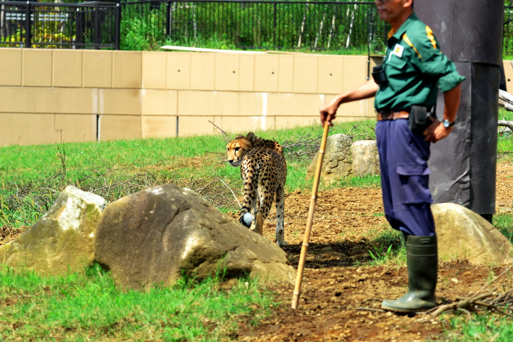 飼育員さん大丈夫？