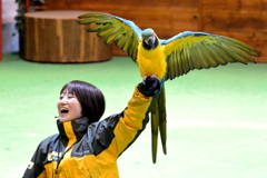 ポーズ