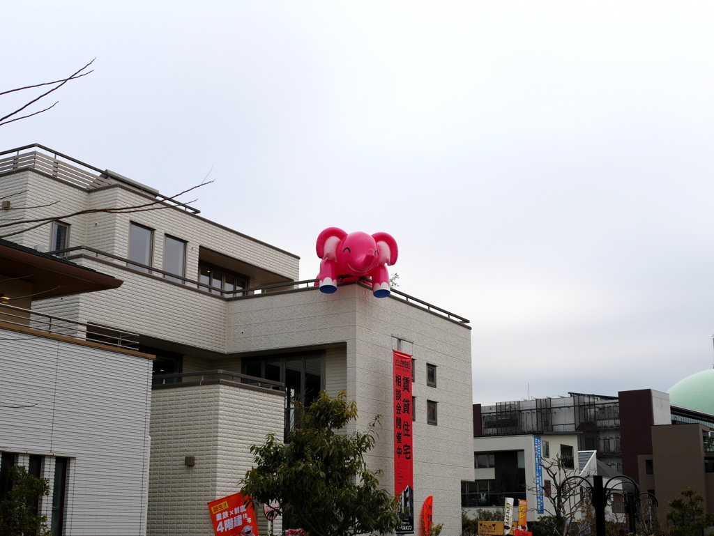 住宅展示ゾウ