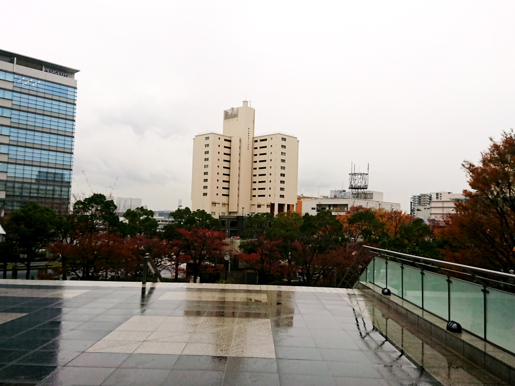 雨