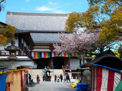 桜吹雪