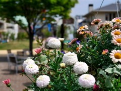 花籠2