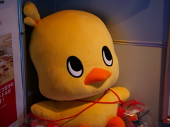 ひよこさん