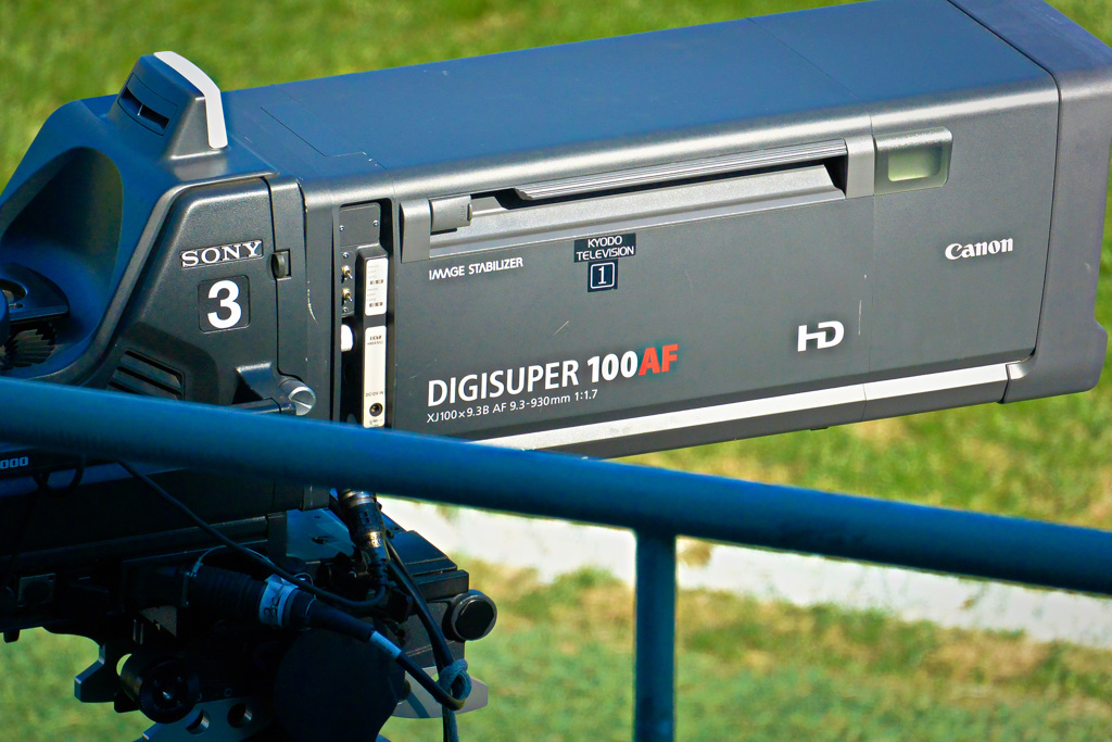 これなんだろう