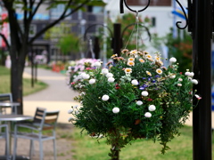 花籠