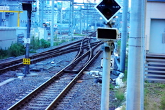 シーサスクロッシング    