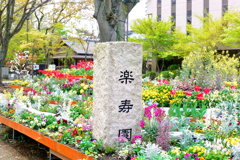 【蔵出し】