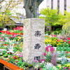 【蔵出し】
