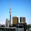 東京スカイツリー