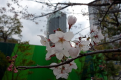 難しい