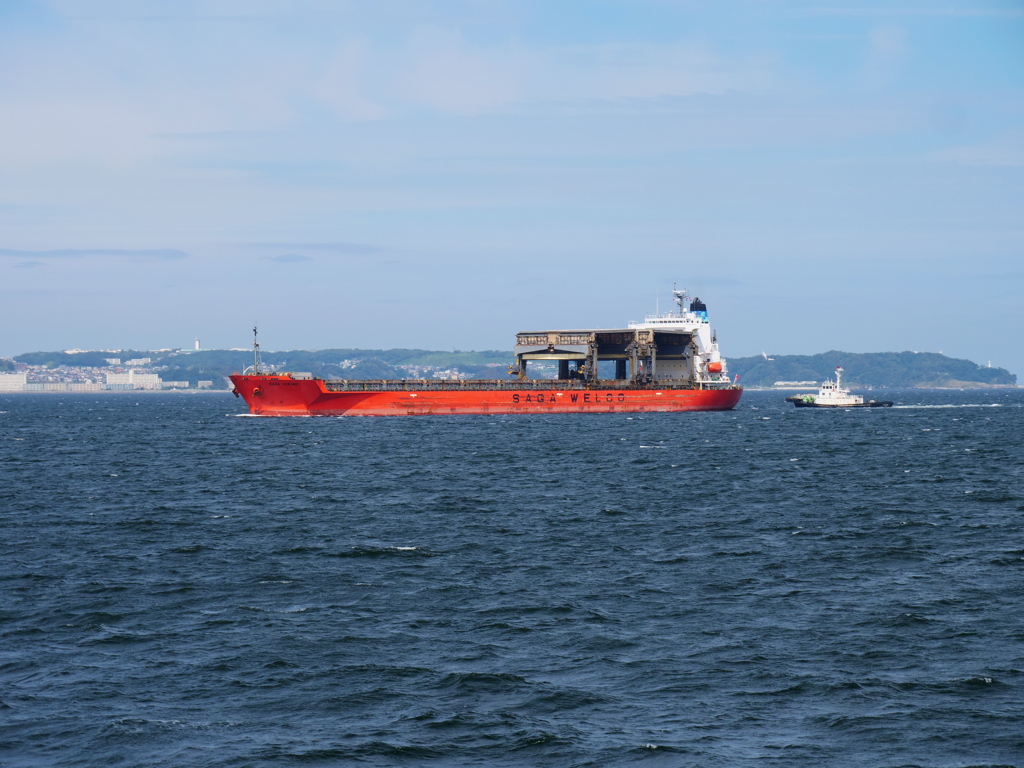 SAGA VIKING 